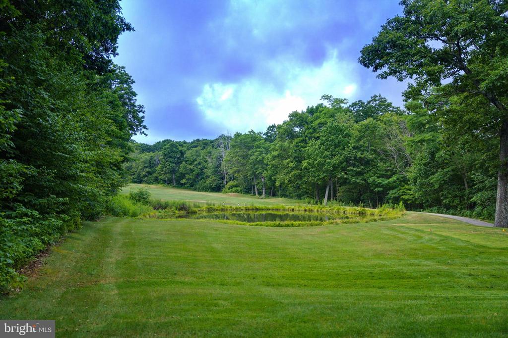 52 DEER SPRINGS LANE