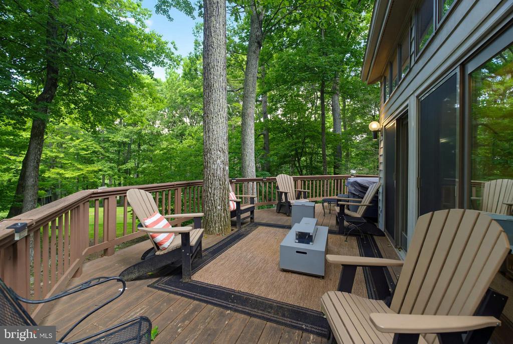 52 DEER SPRINGS LANE