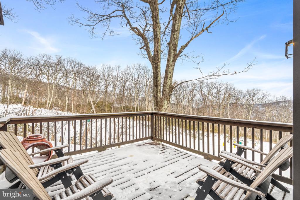142 SQUIRREL TREE LANE