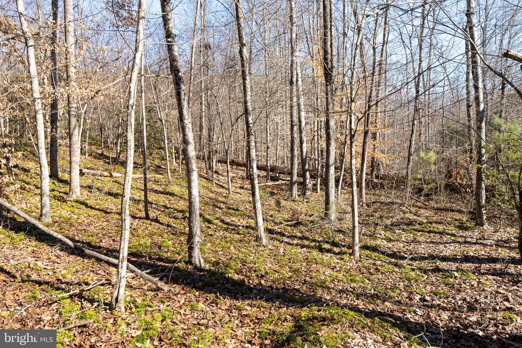 Pannell Lane