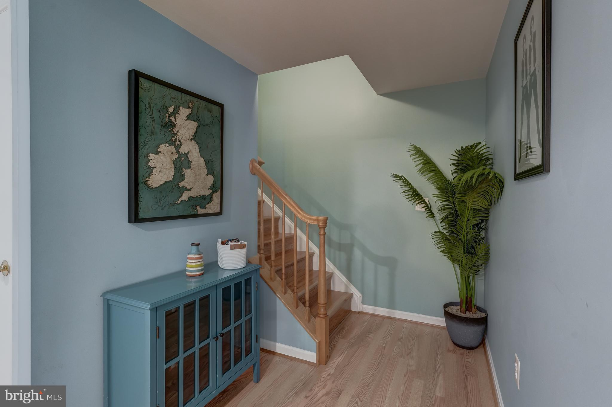 15507 CHESTNUT TREE COURT