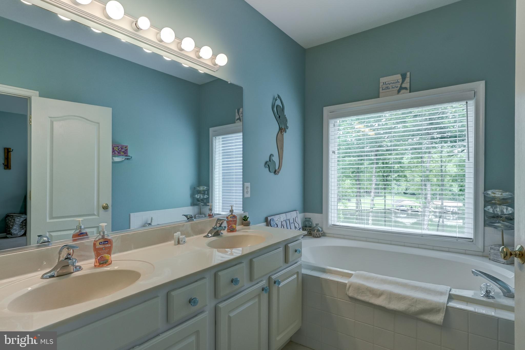 15507 CHESTNUT TREE COURT