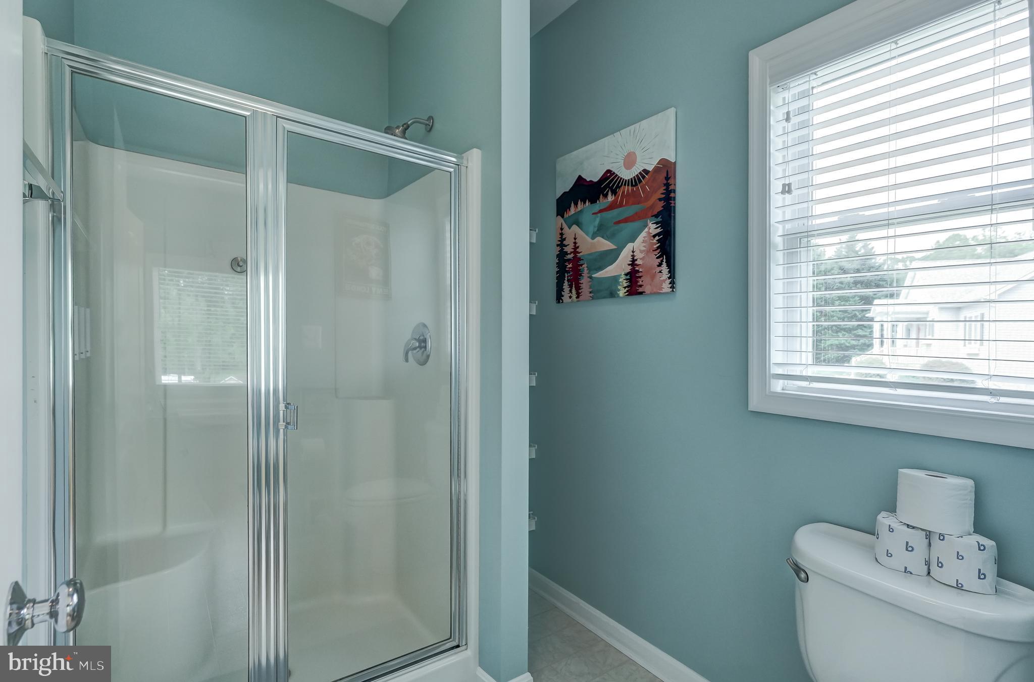 15507 CHESTNUT TREE COURT