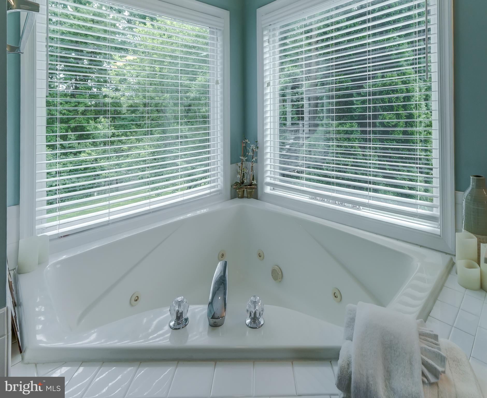 15507 CHESTNUT TREE COURT