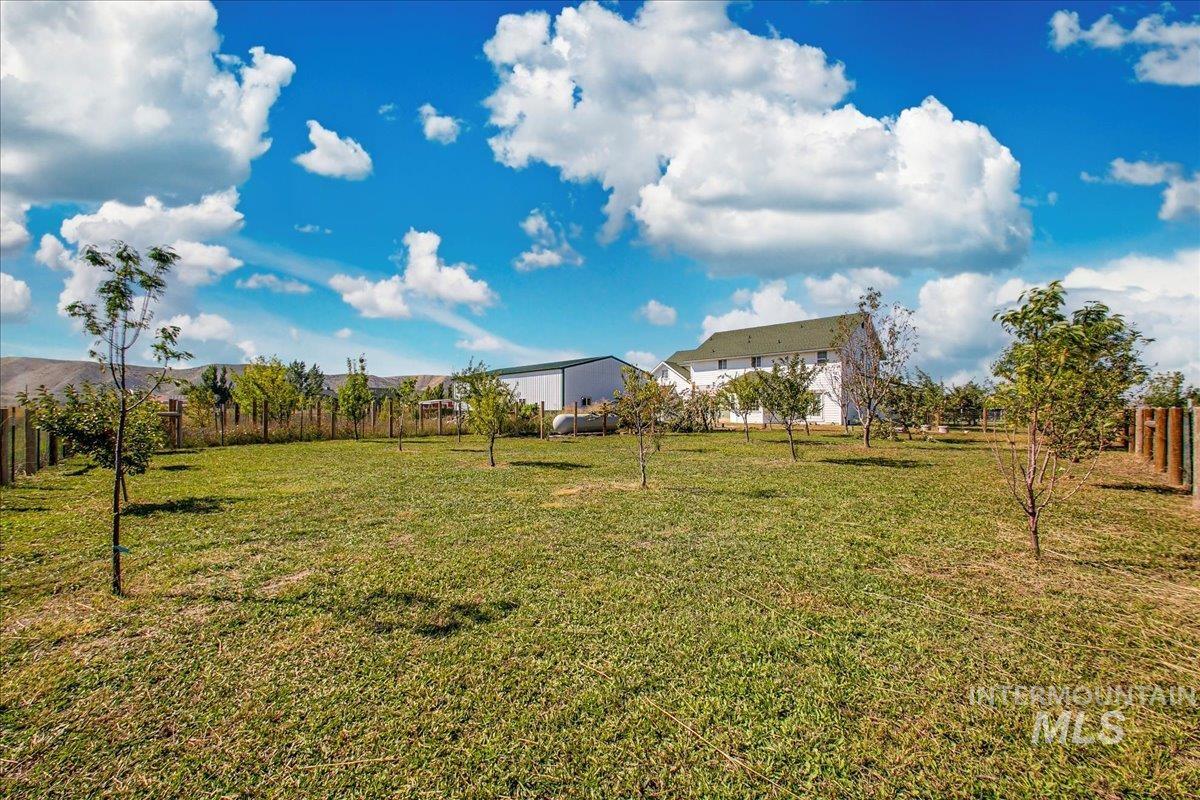 3310 Kings Lane