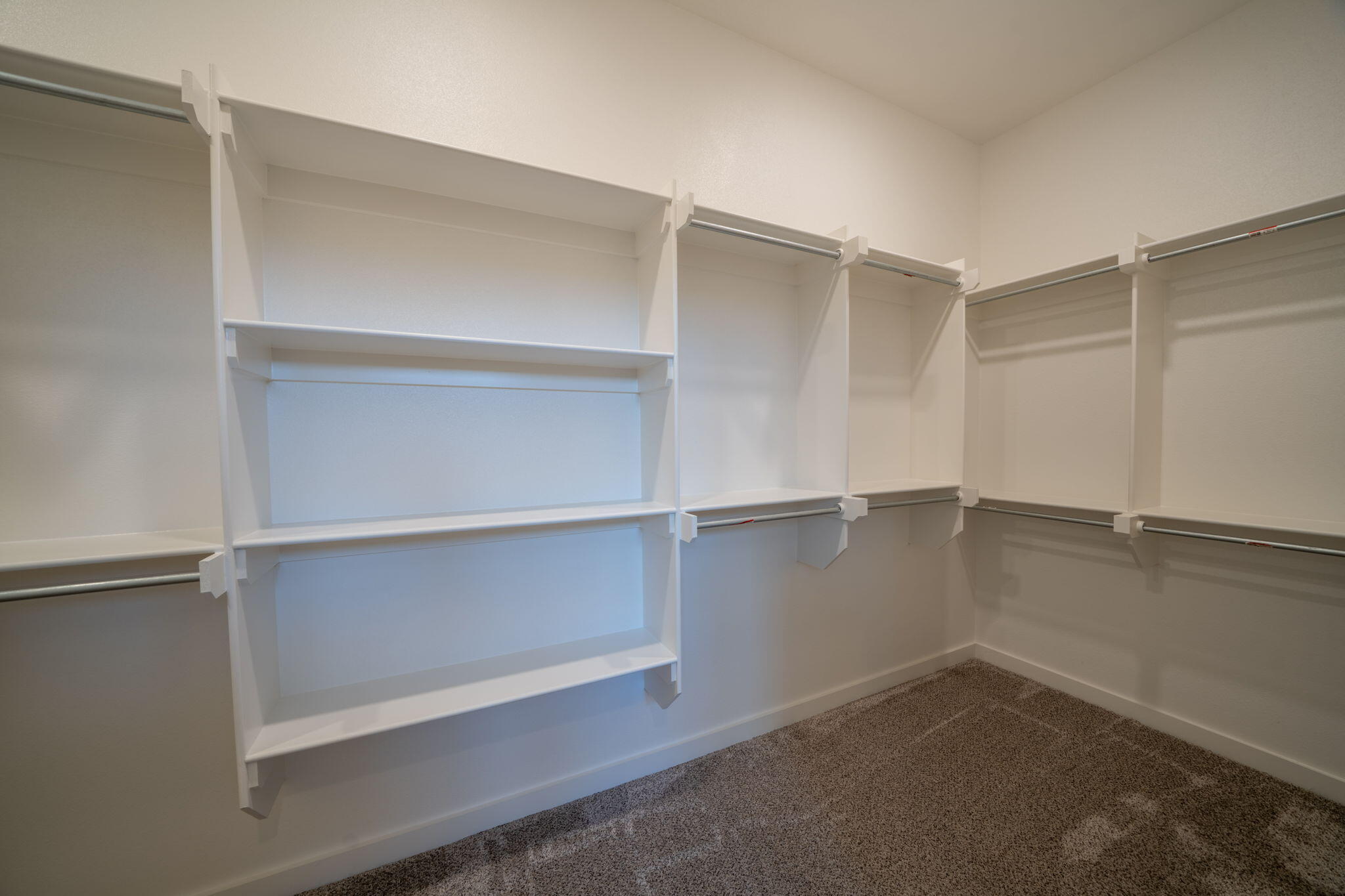 Walk-in closet with built-in white shelves, hanging rods, and brown carpet.