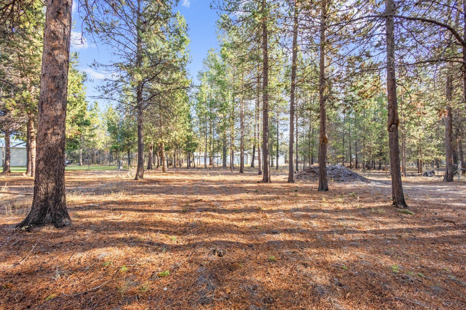 53044 Tarry Lane