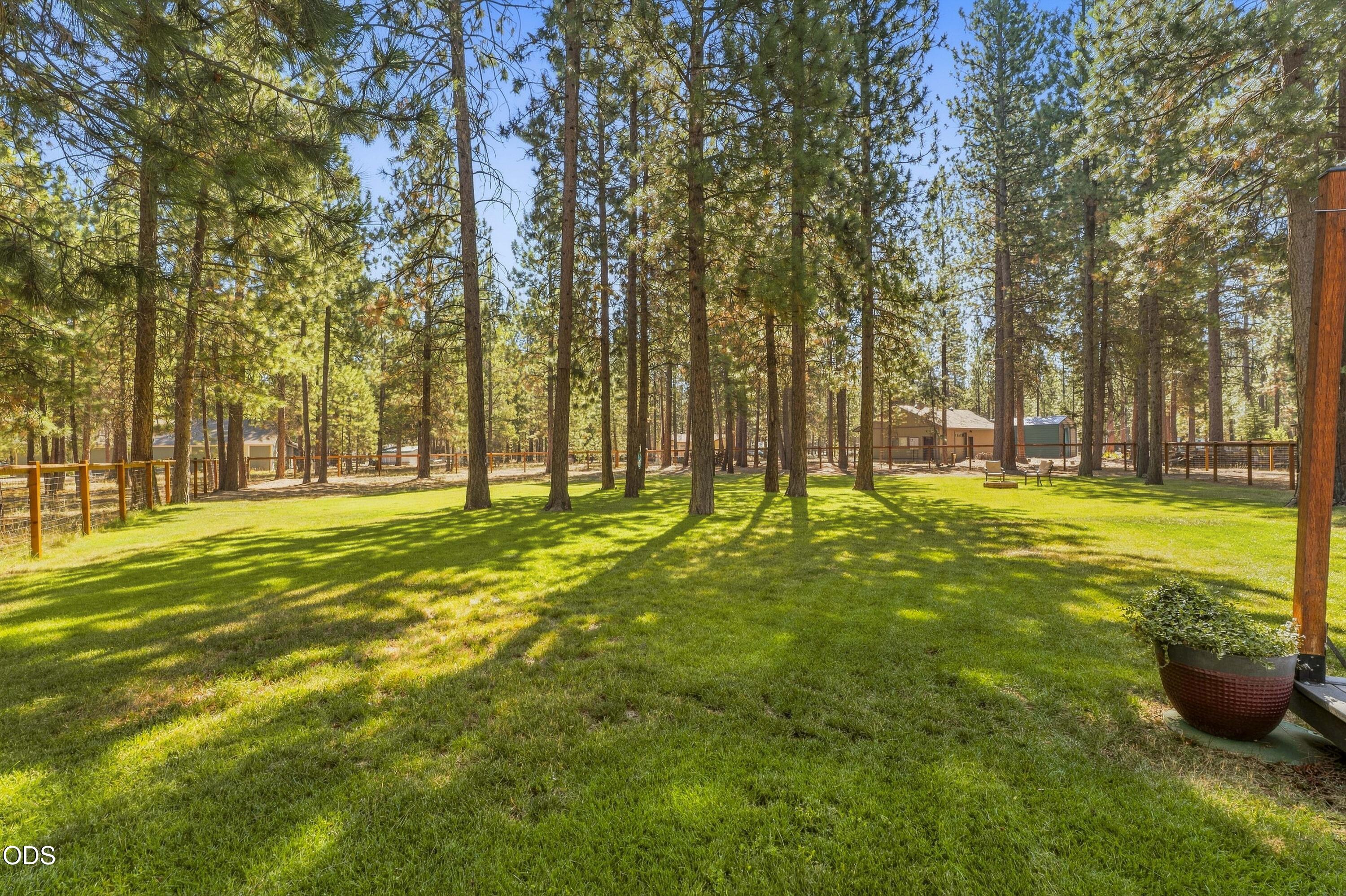 15375 Ponderosa Loop