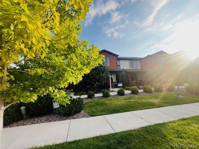21613 E 59th Place