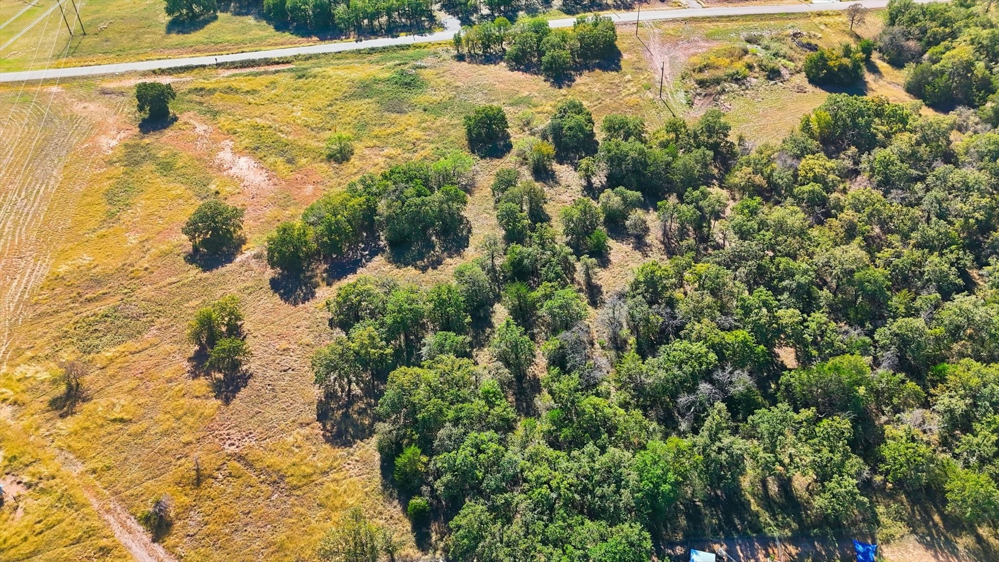 279 Rolling Ranch Boulevard
