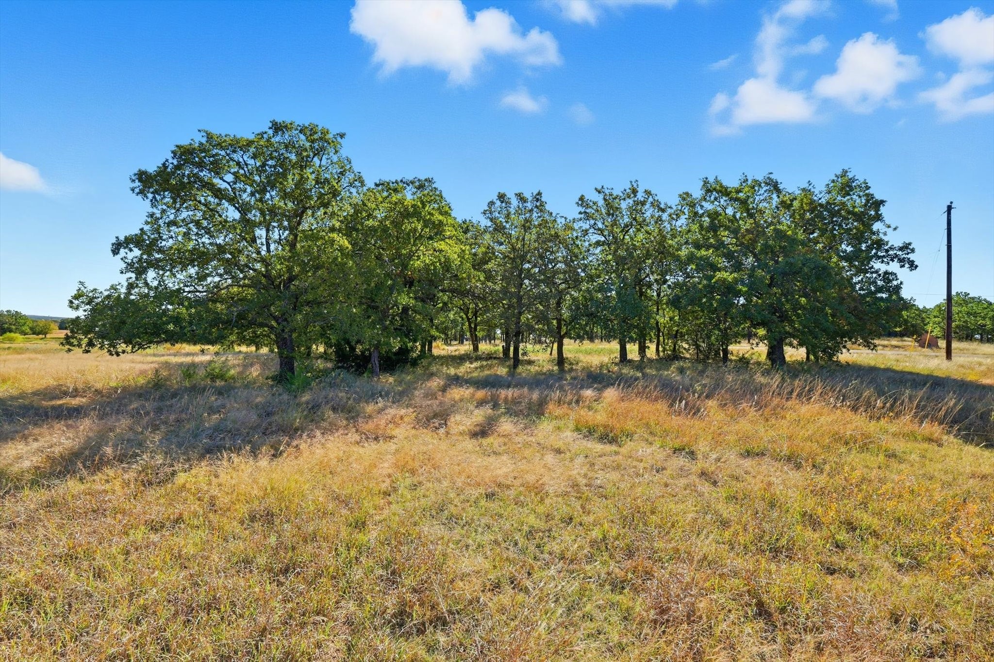 279 Rolling Ranch Boulevard