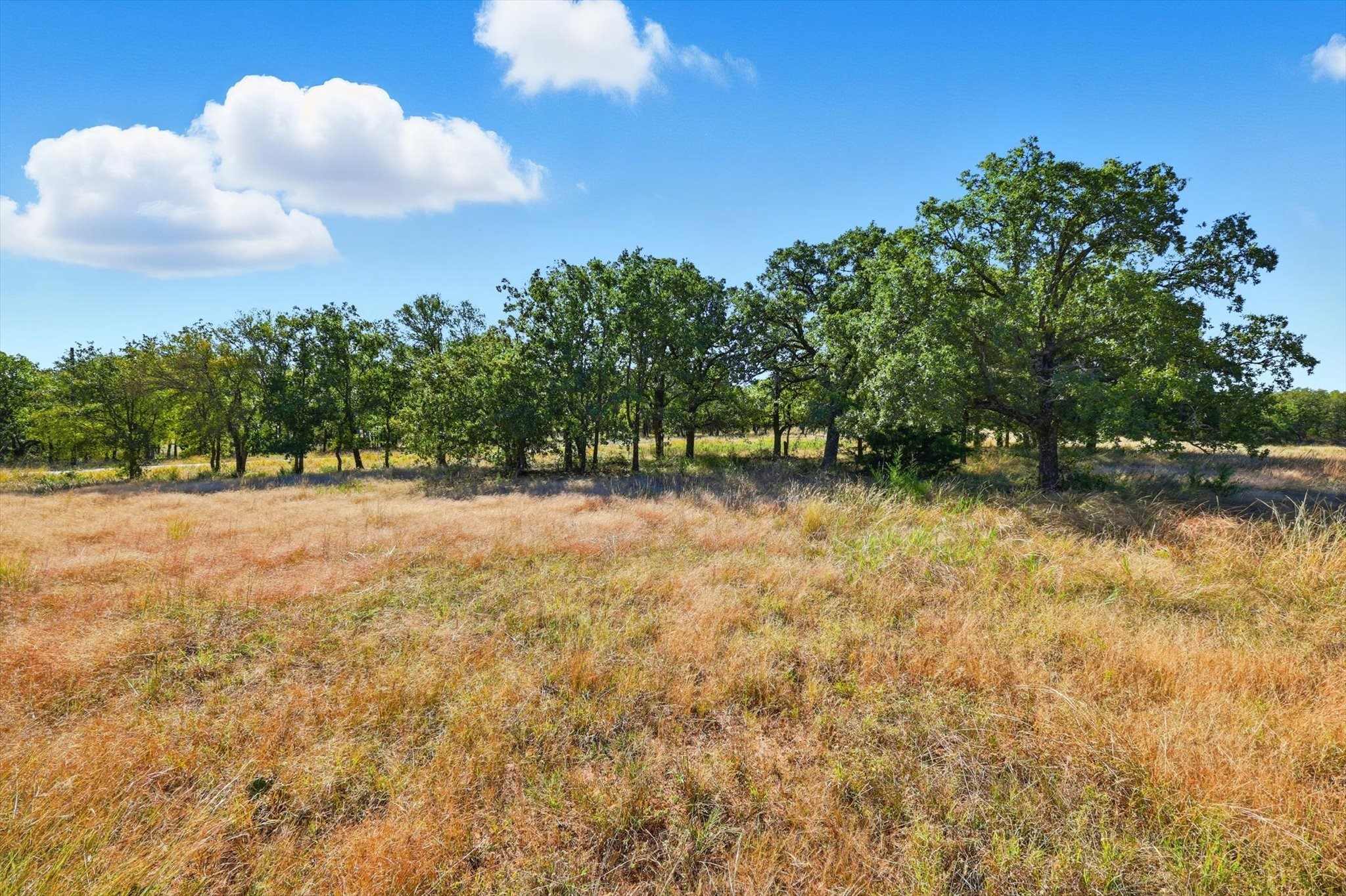 279 Rolling Ranch Boulevard