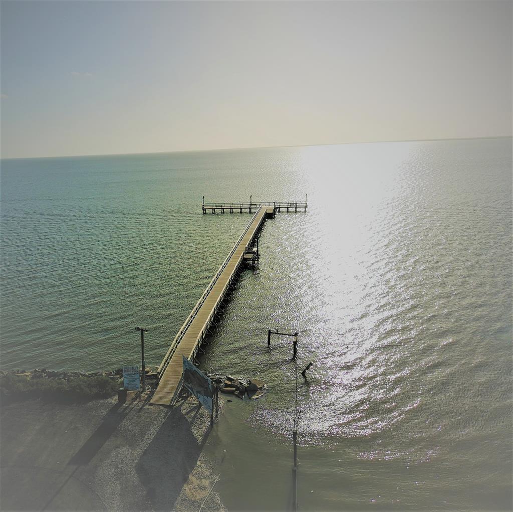 555 Mesquite Tree Loop