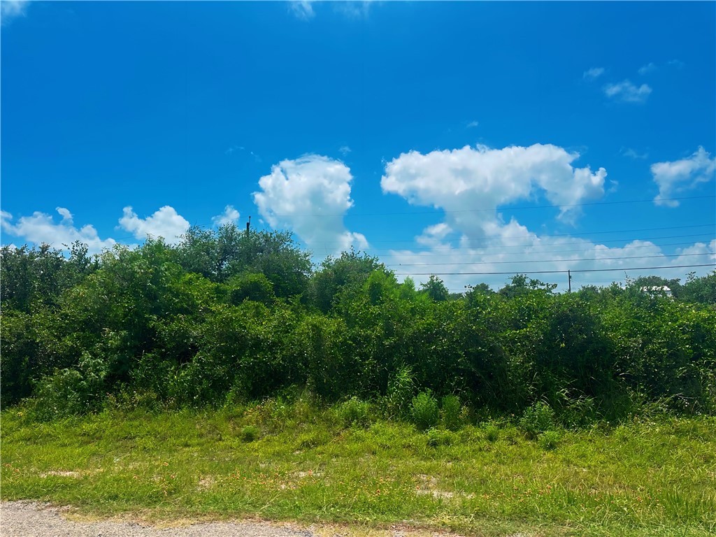 79 Redfish Dr.