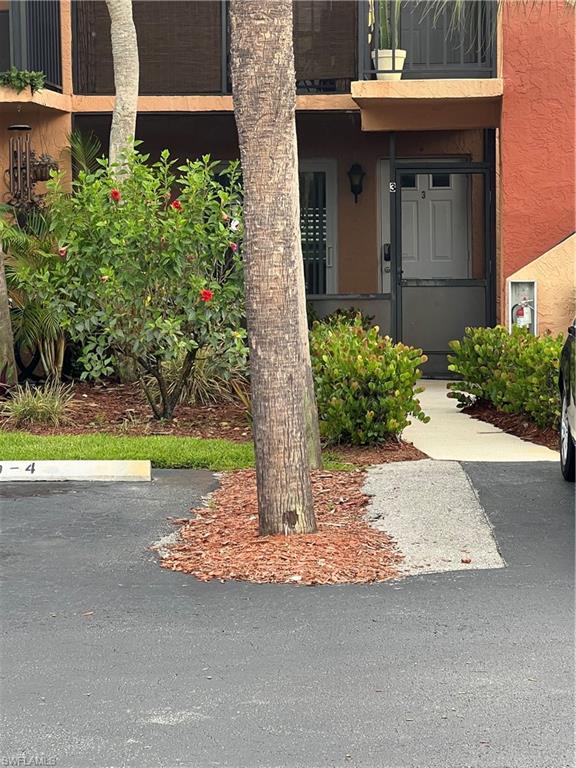 4090 Looking Glass LN # 2911
