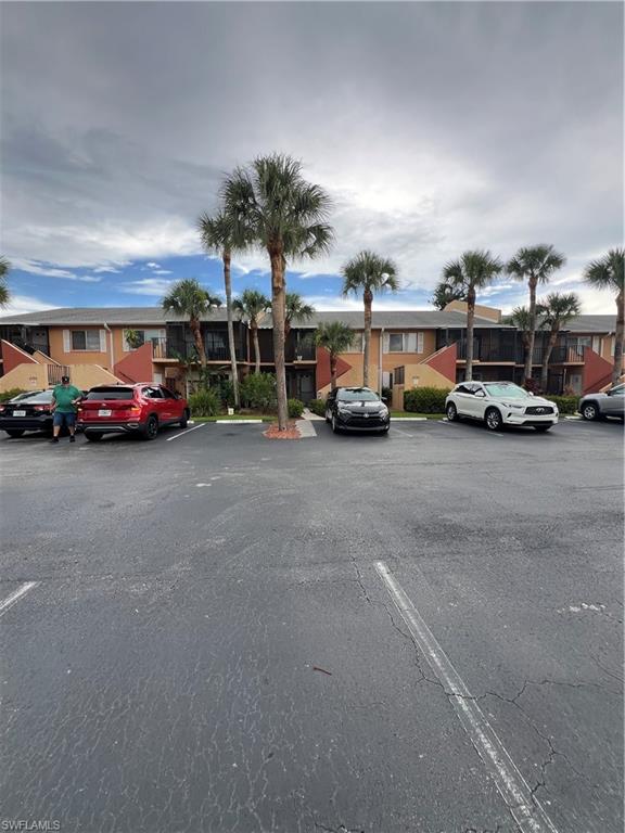 4090 Looking Glass LN # 2911