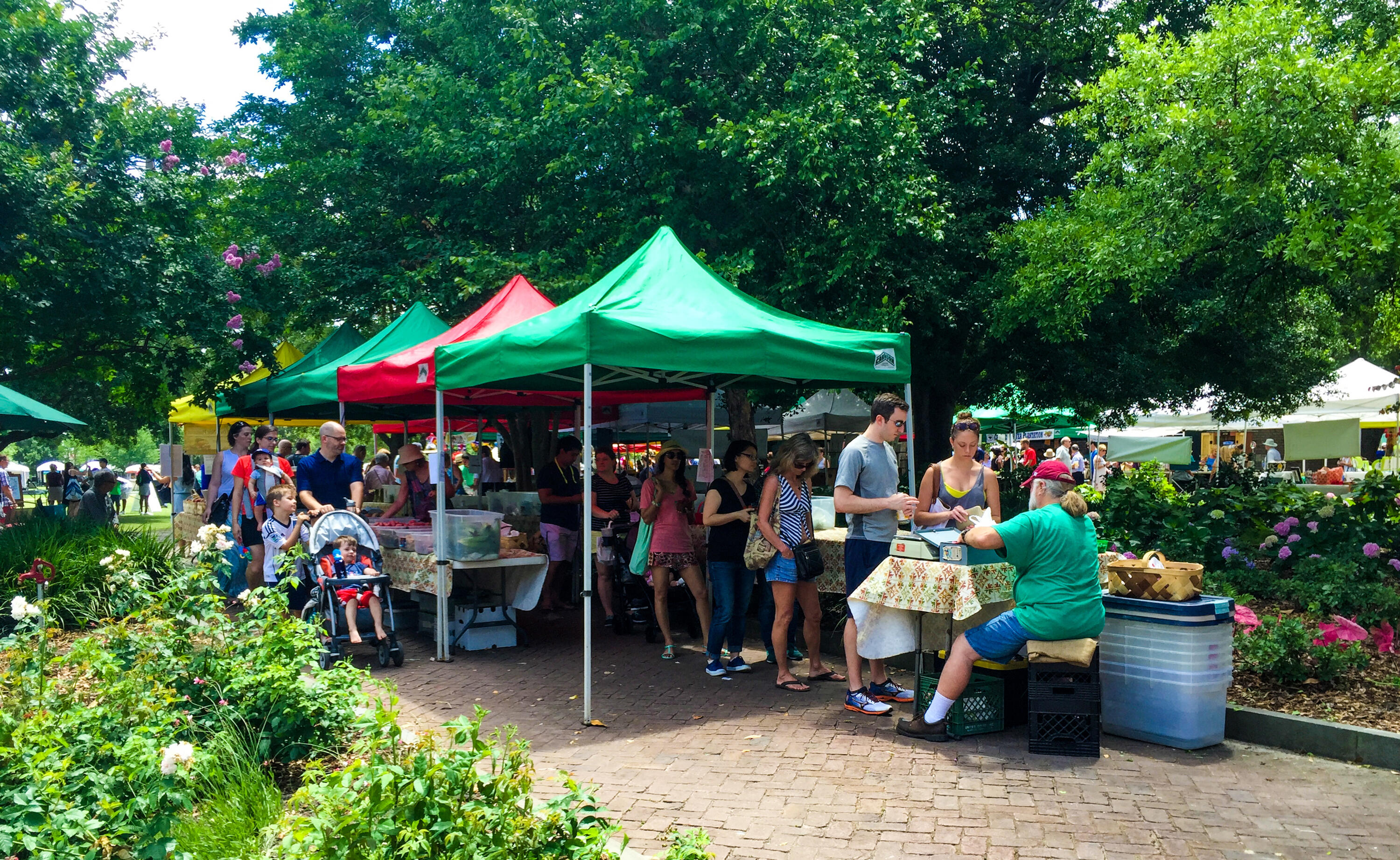 78 Vanderhorst Street