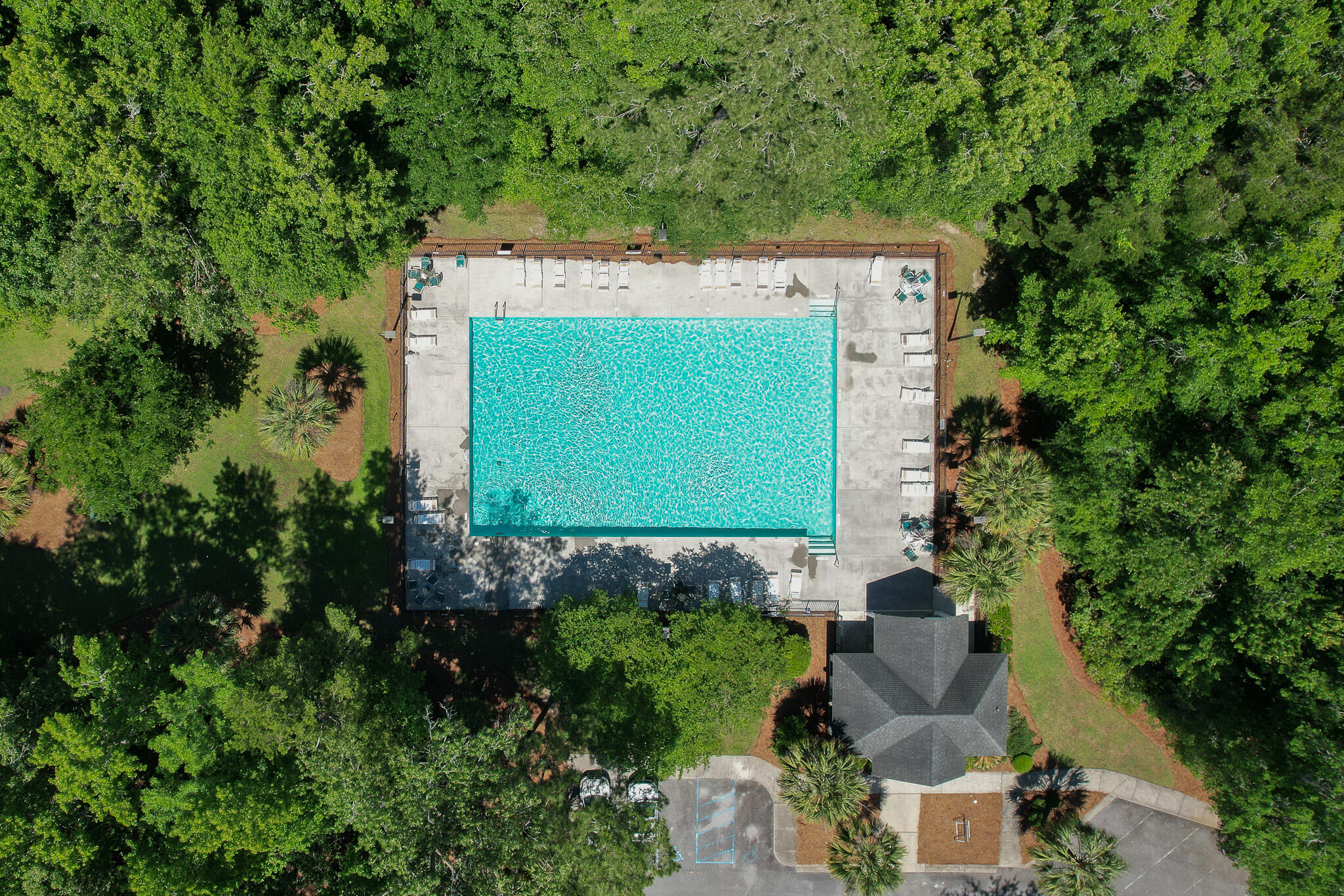 465 Blue Dragonfly Drive