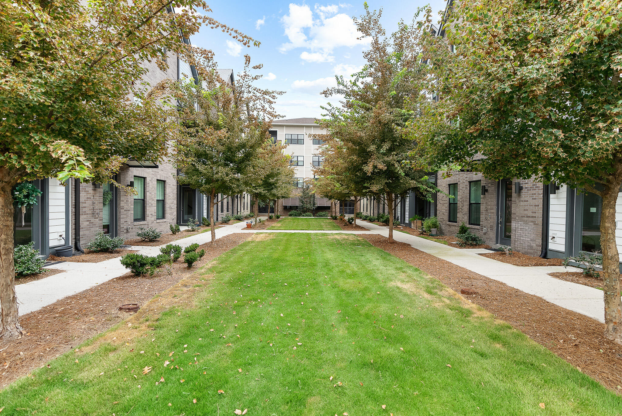 1515 Cecile Street # 3 Unit: E-3