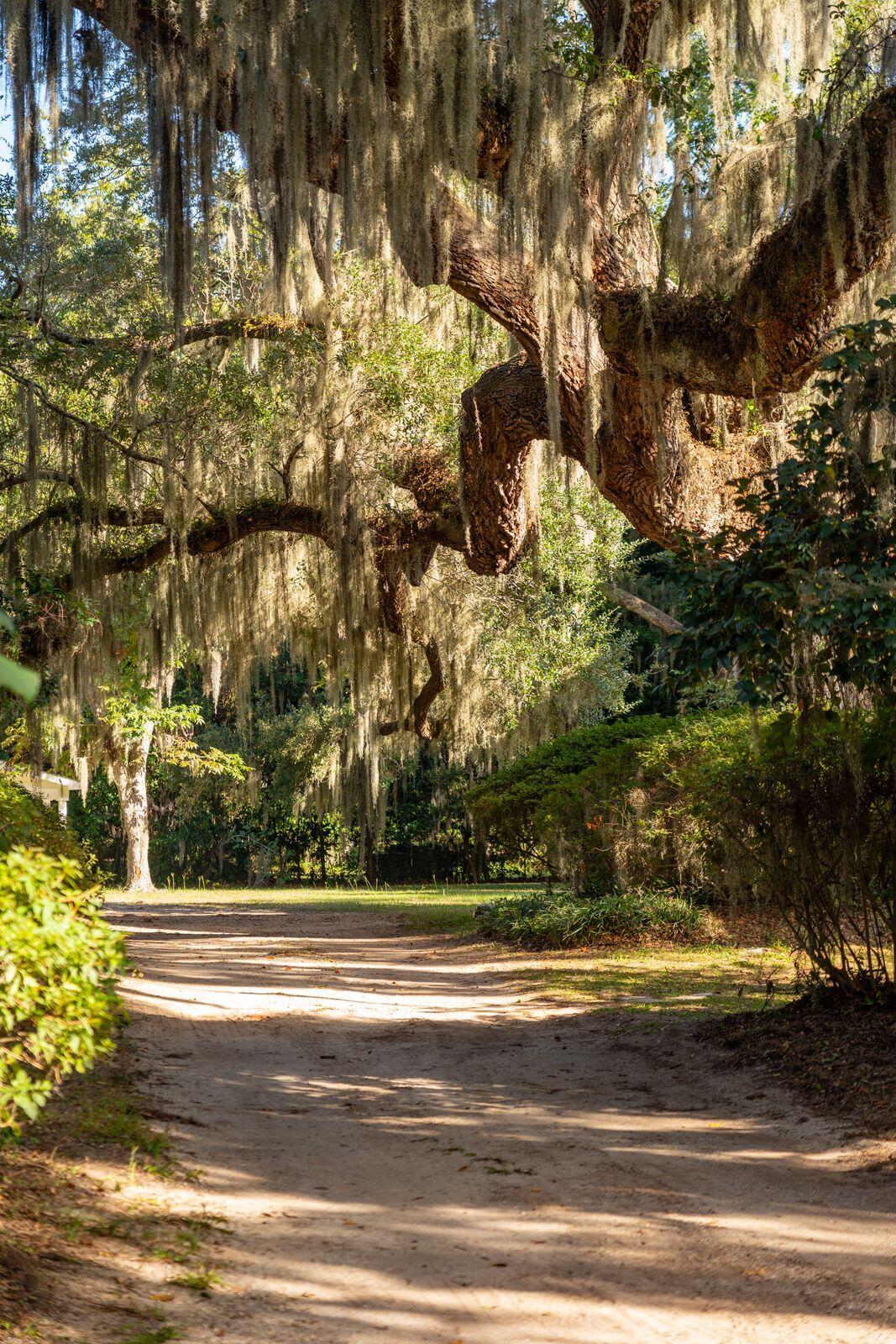 2518 Grace Chapel Road