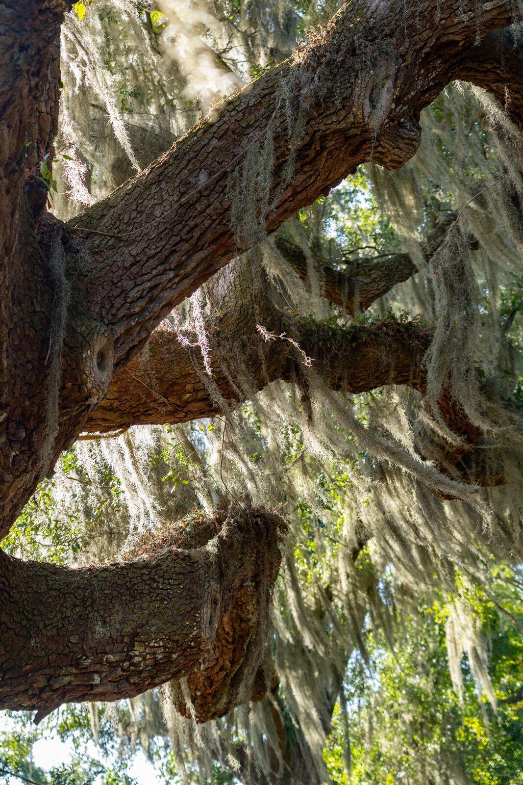 2518 Grace Chapel Road