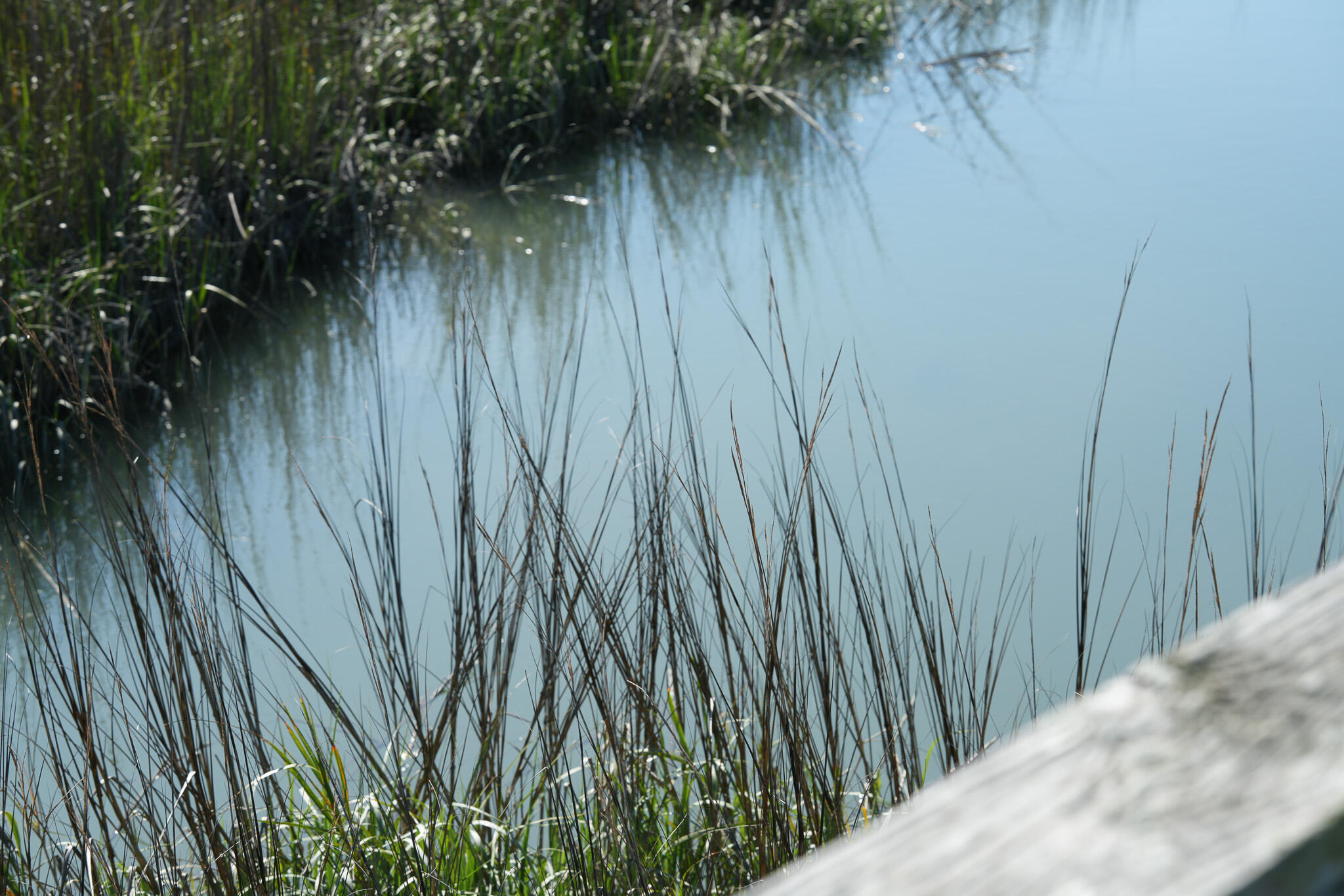 1024 W Ashley Avenue