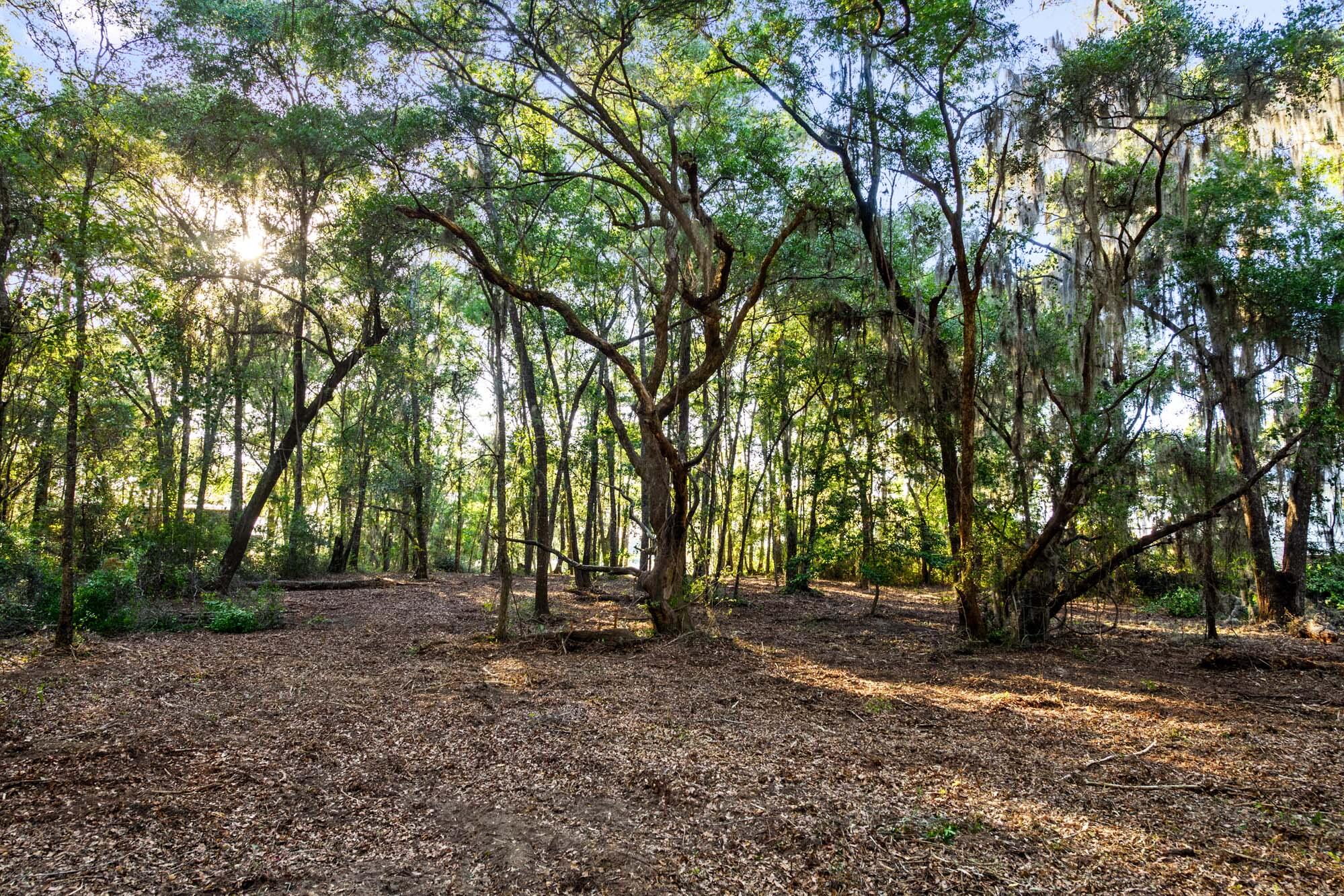 3566 Bohicket Estates Drive