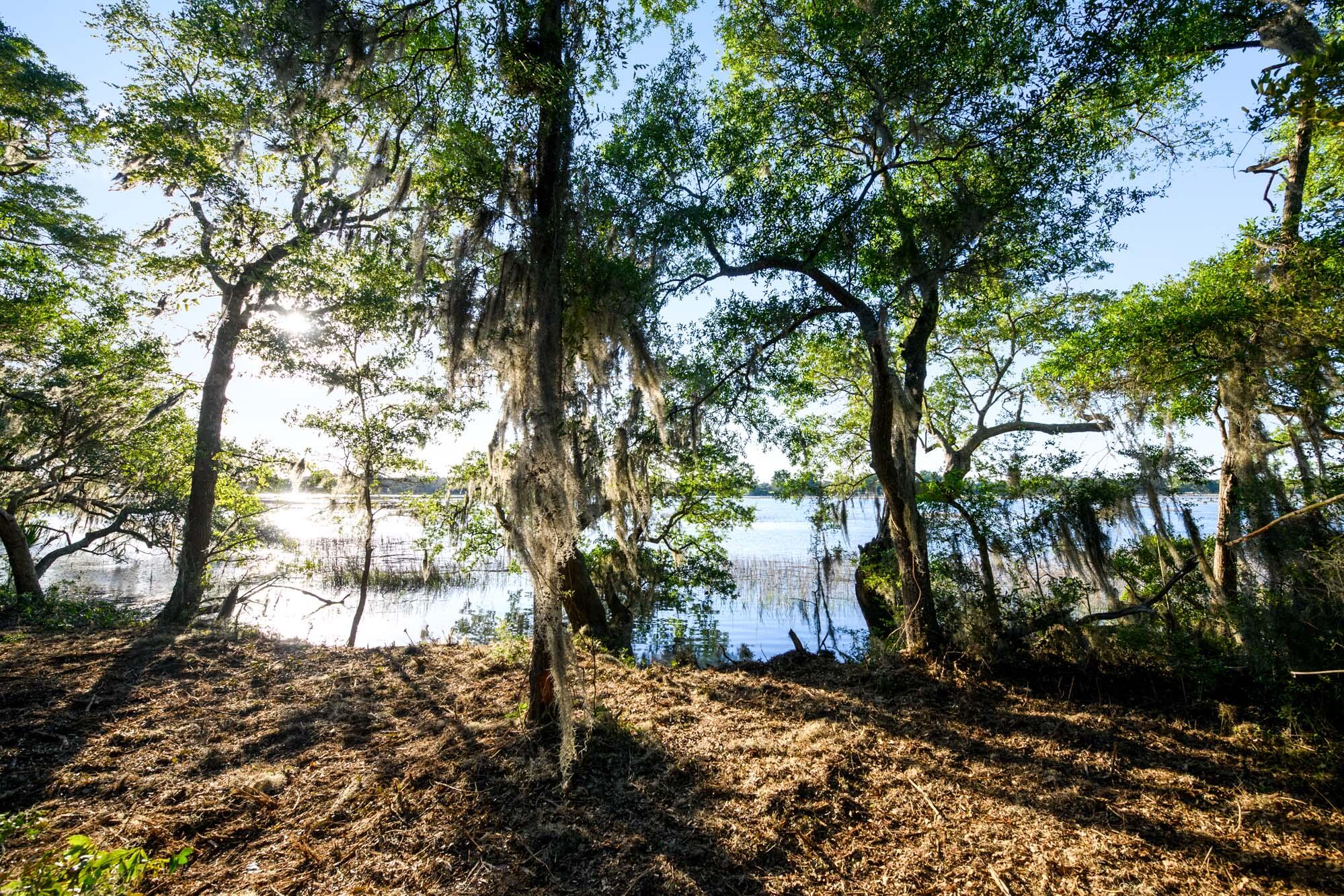 3566 Bohicket Estates Drive