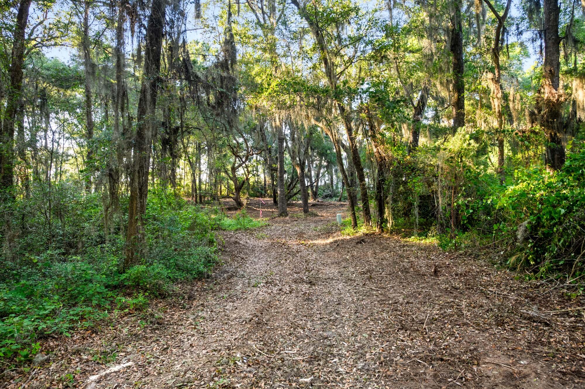 3566 Bohicket Estates Drive