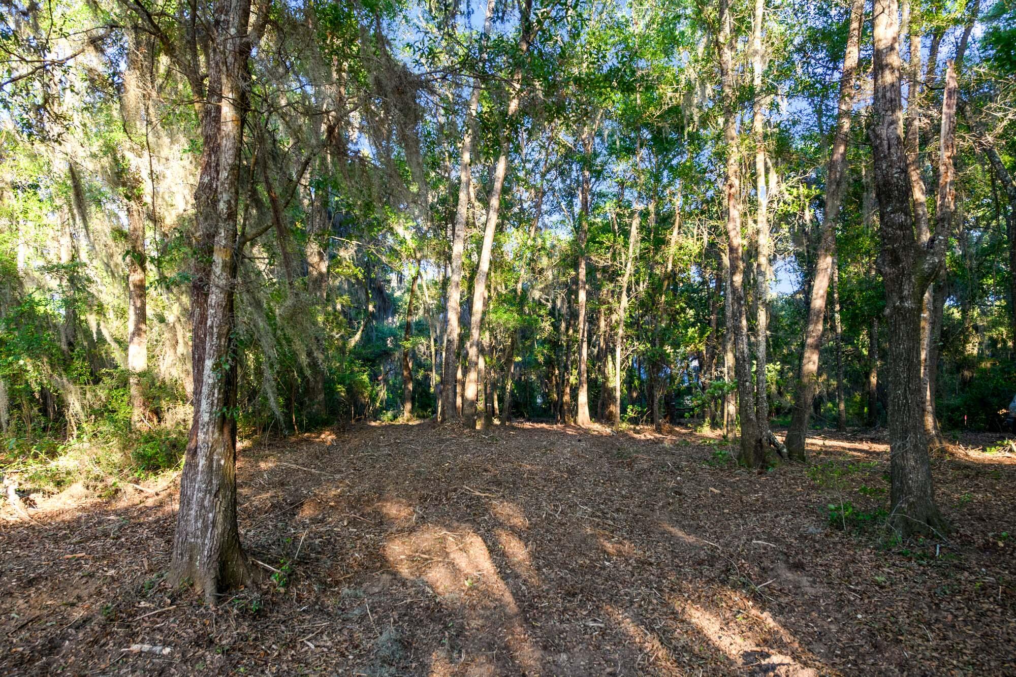 3566 Bohicket Estates Drive