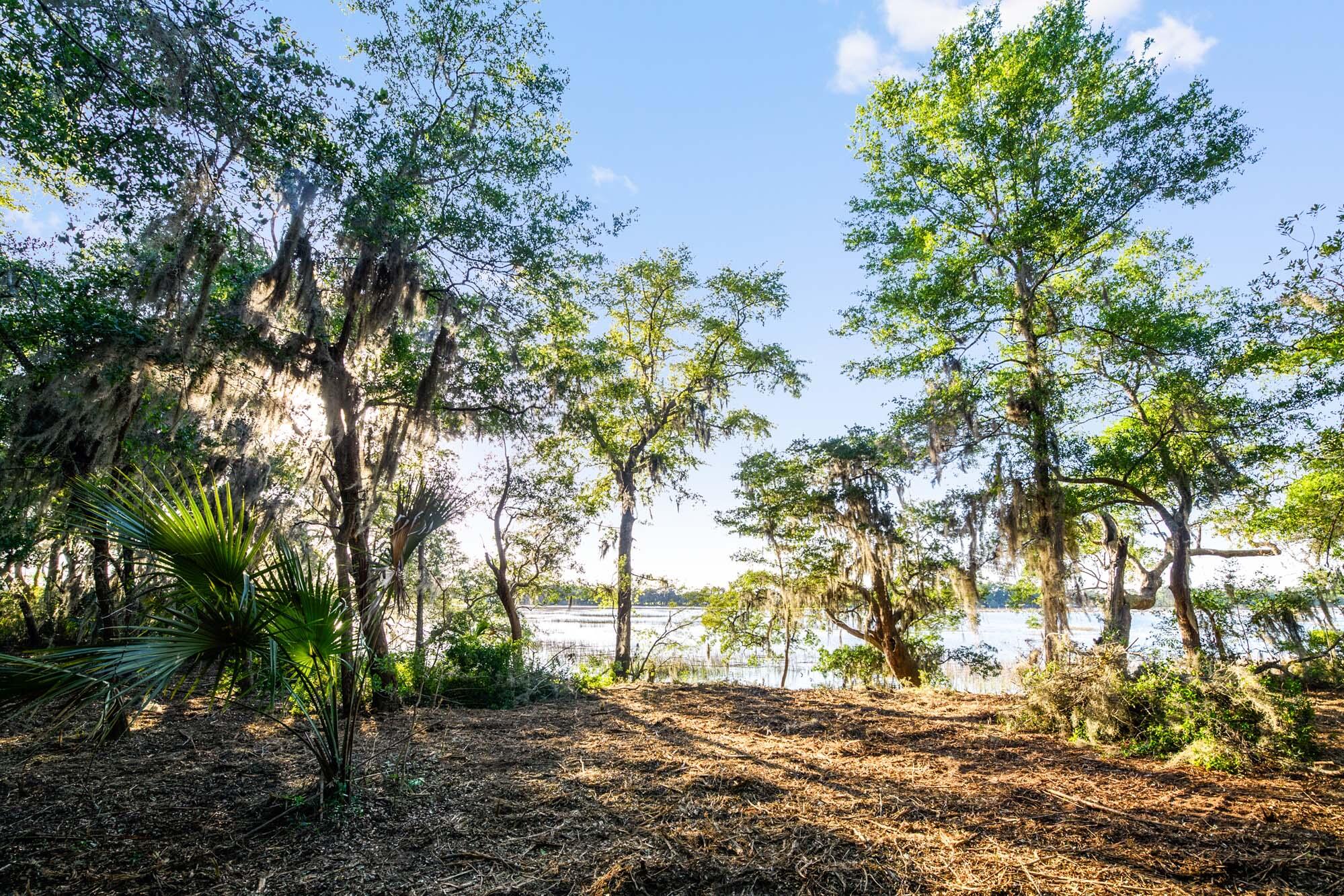 3566 Bohicket Estates Drive