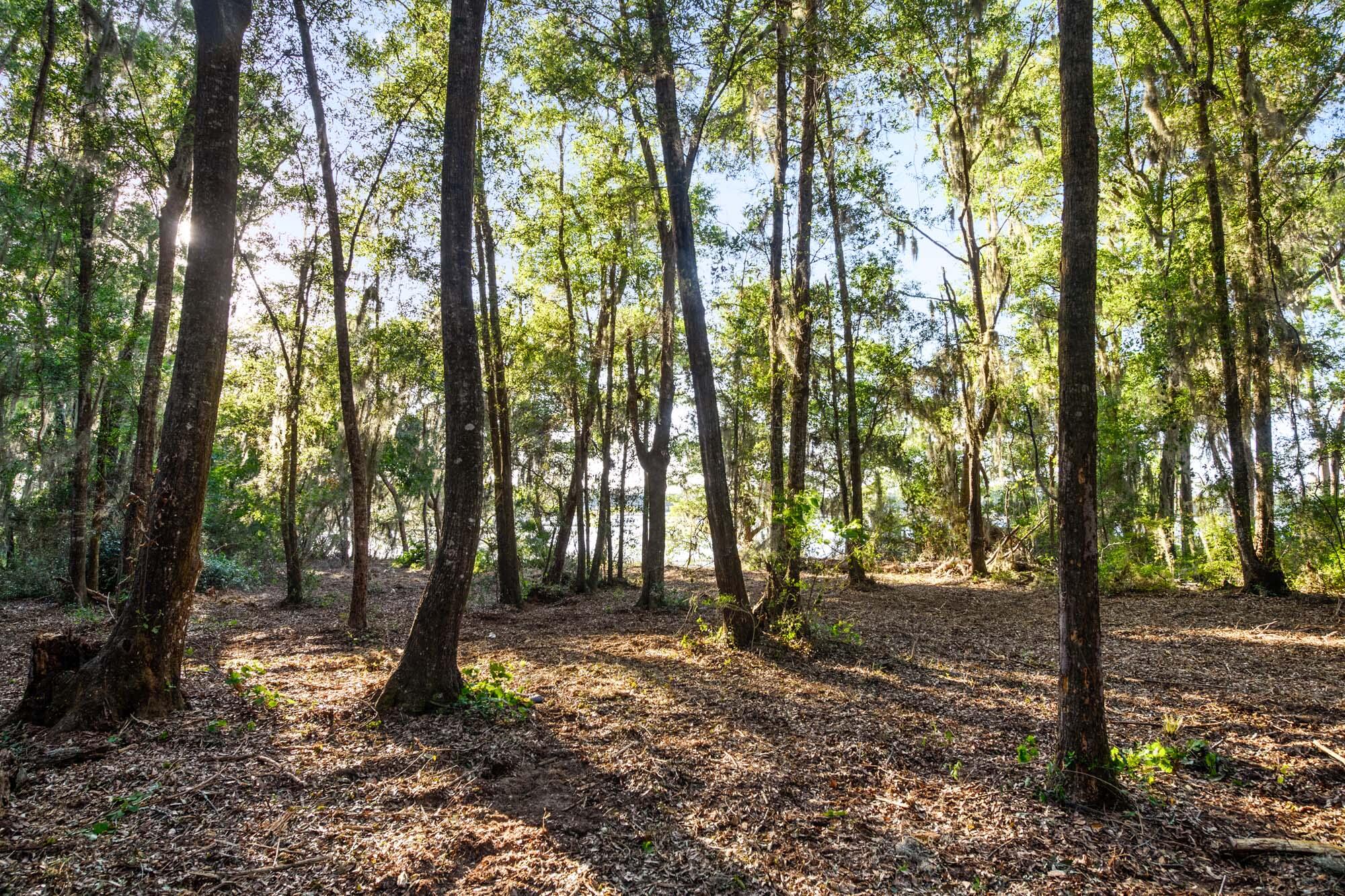 3566 Bohicket Estates Drive