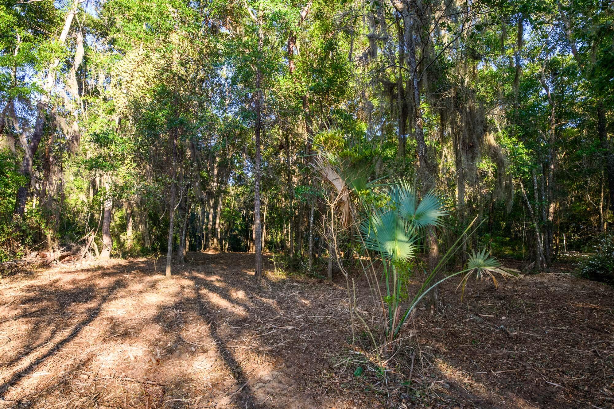 3566 Bohicket Estates Drive
