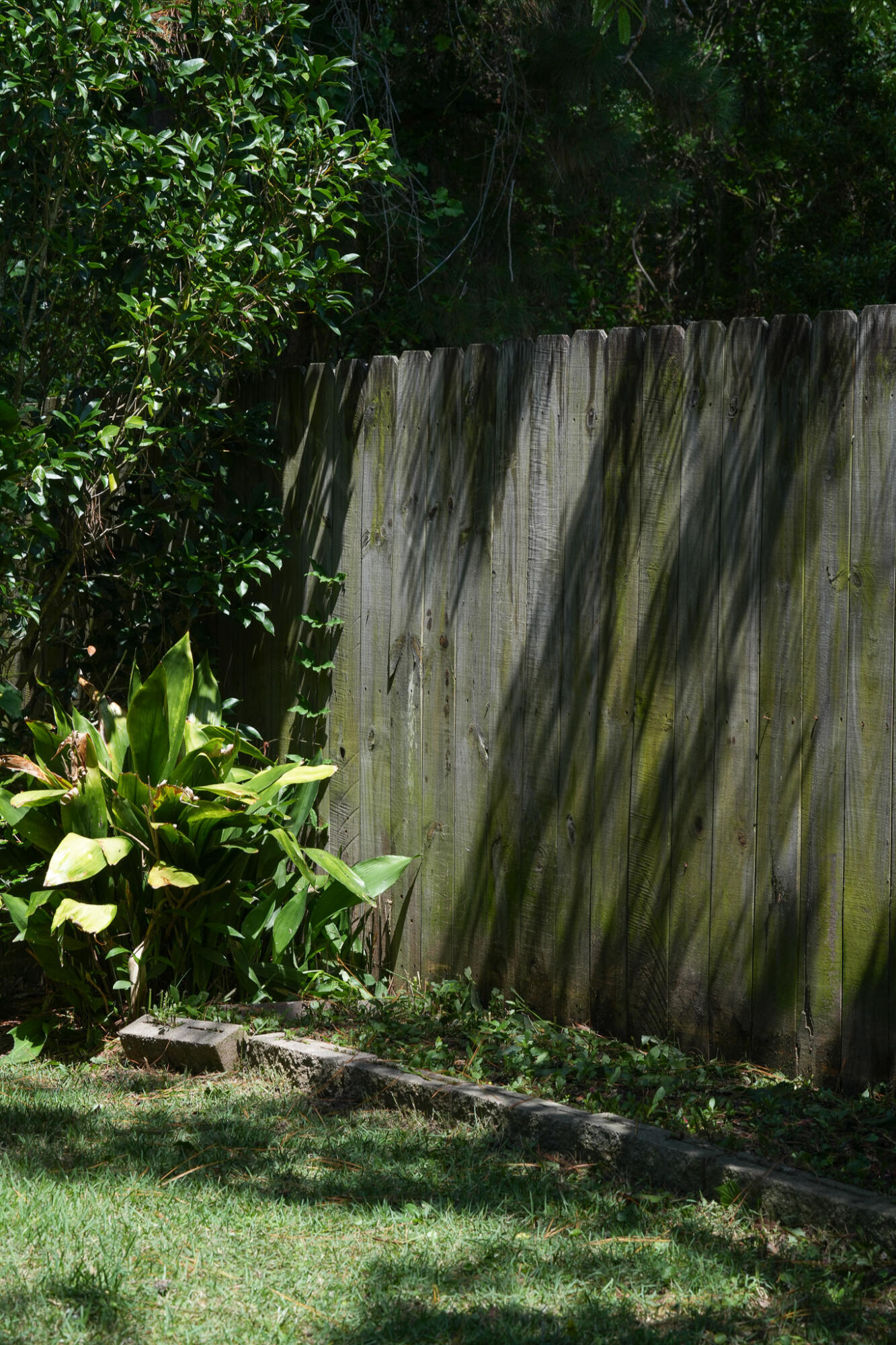 1172 Landau Lane