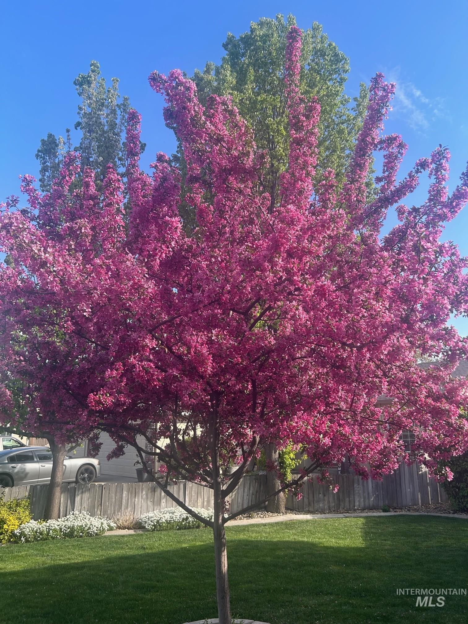 2441 N Snow Goose Way