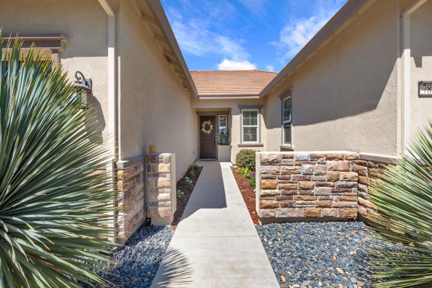 7887 Cumin CT