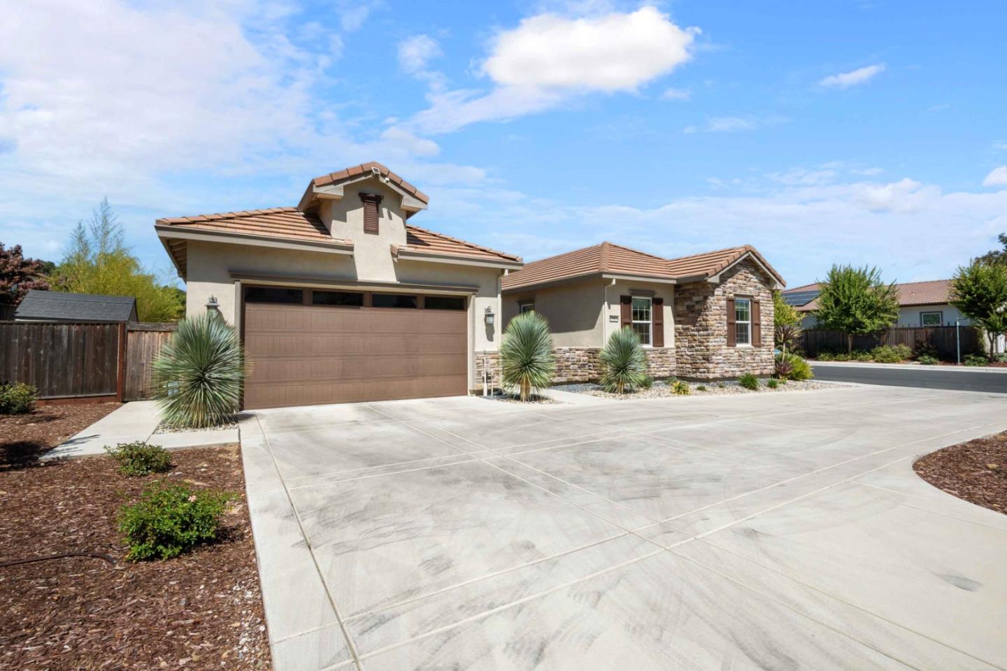 7887 Cumin CT