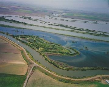 0 0042240270 No Name