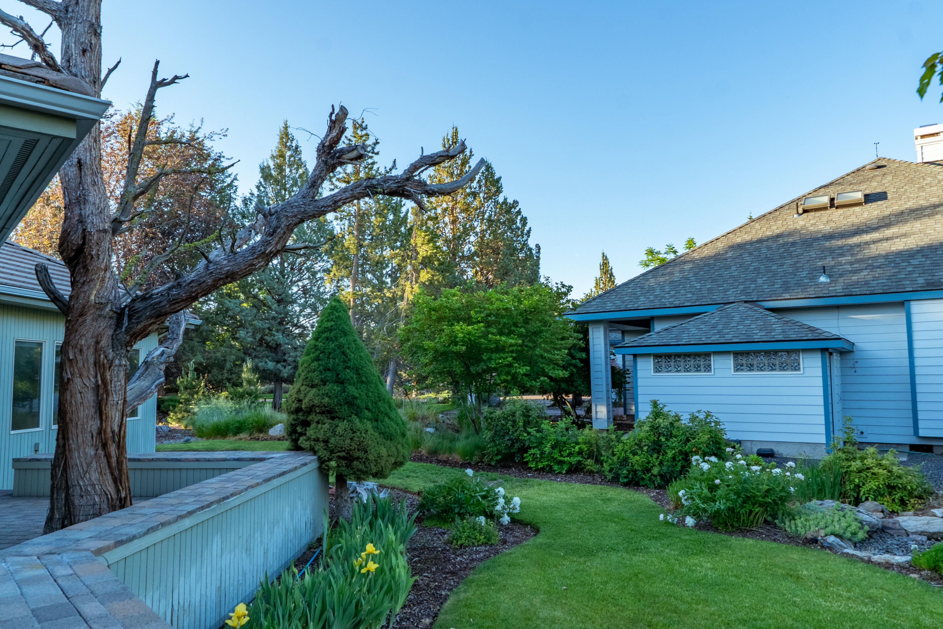 2103 Condor Court