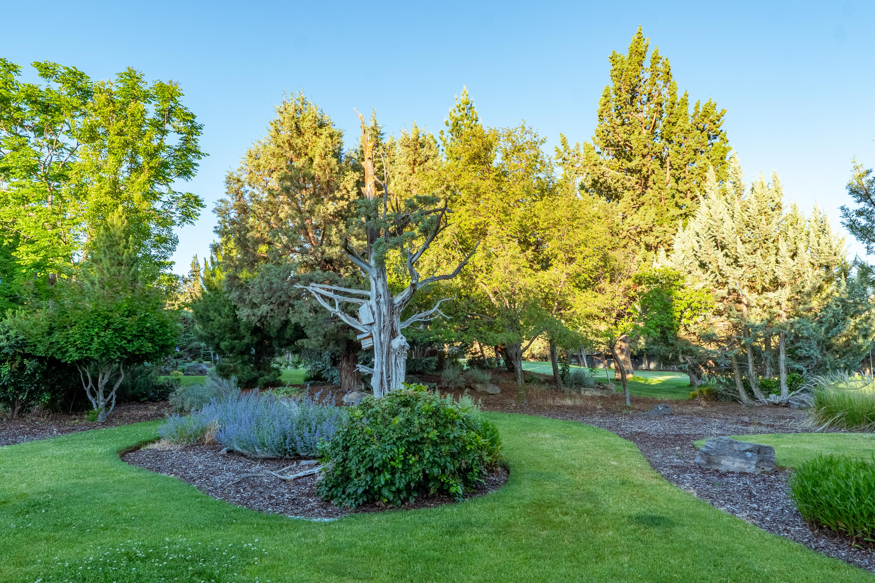 2103 Condor Court