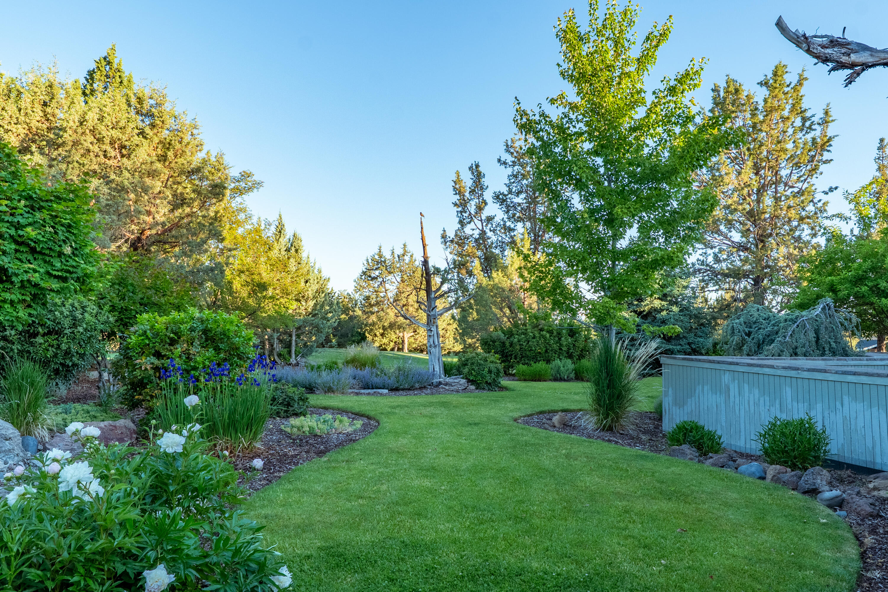 2103 Condor Court