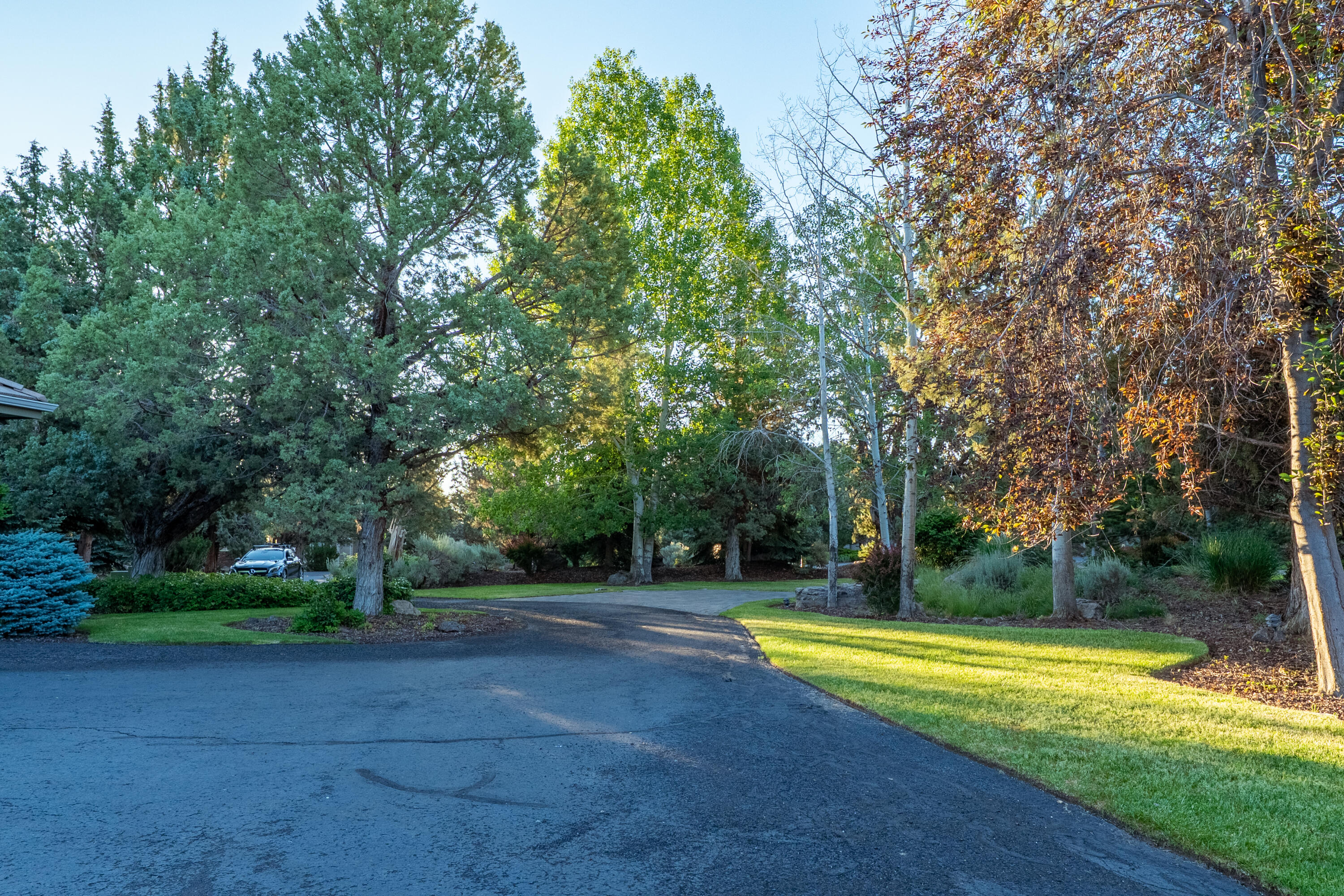 2103 Condor Court