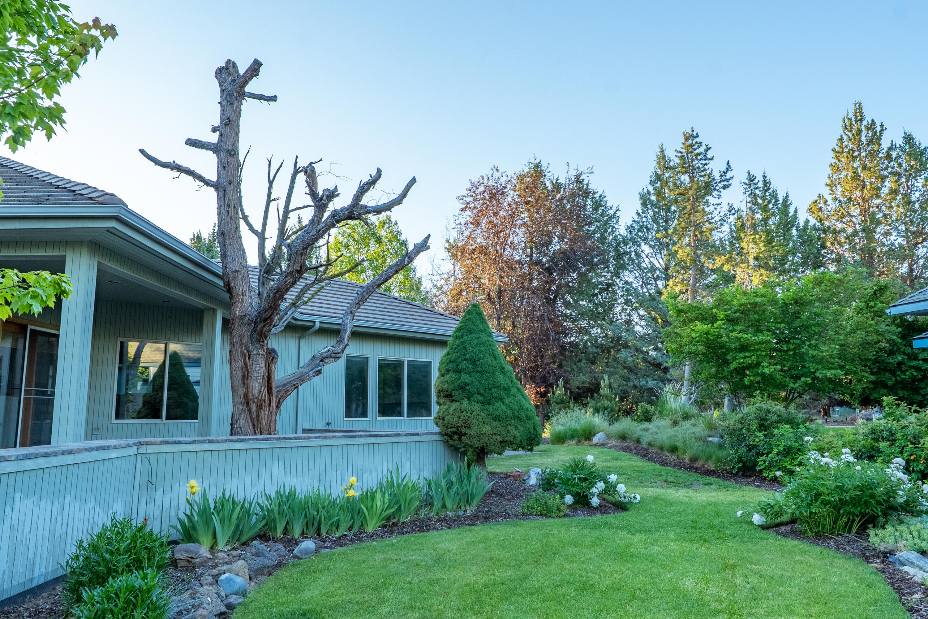 2103 Condor Court