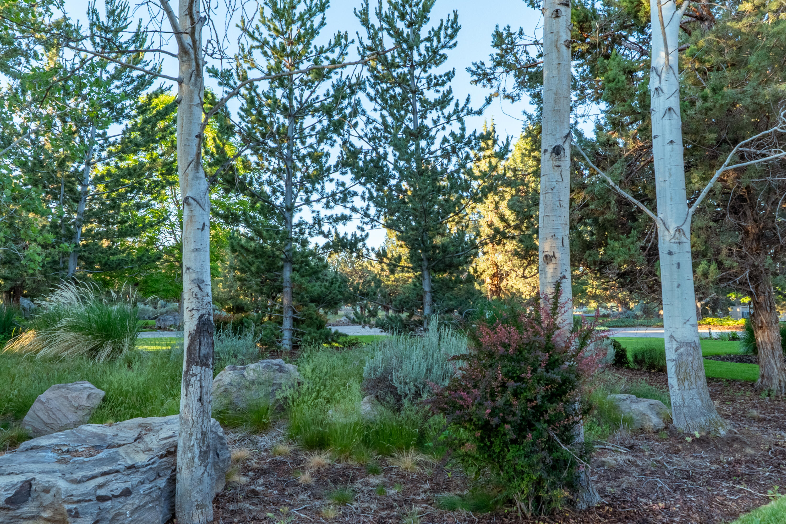 2103 Condor Court