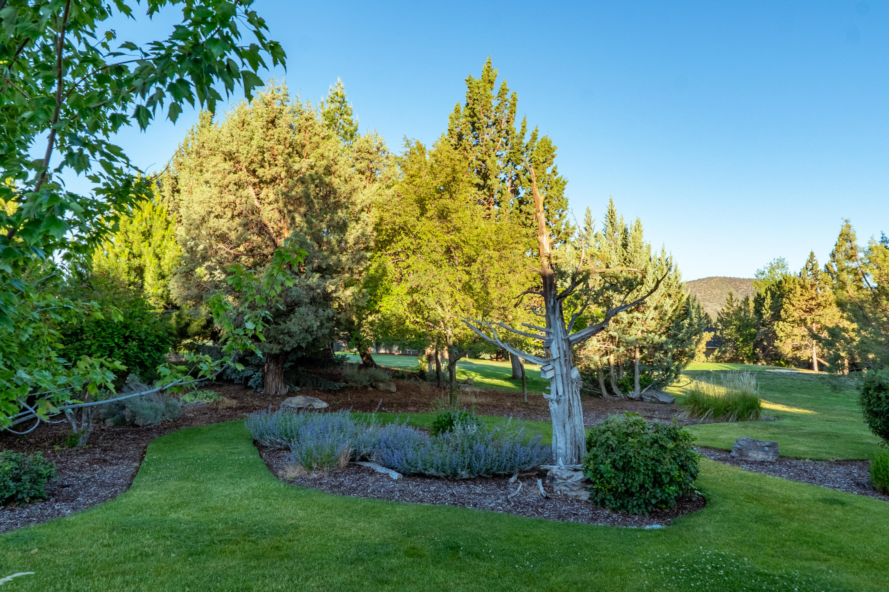 2103 Condor Court