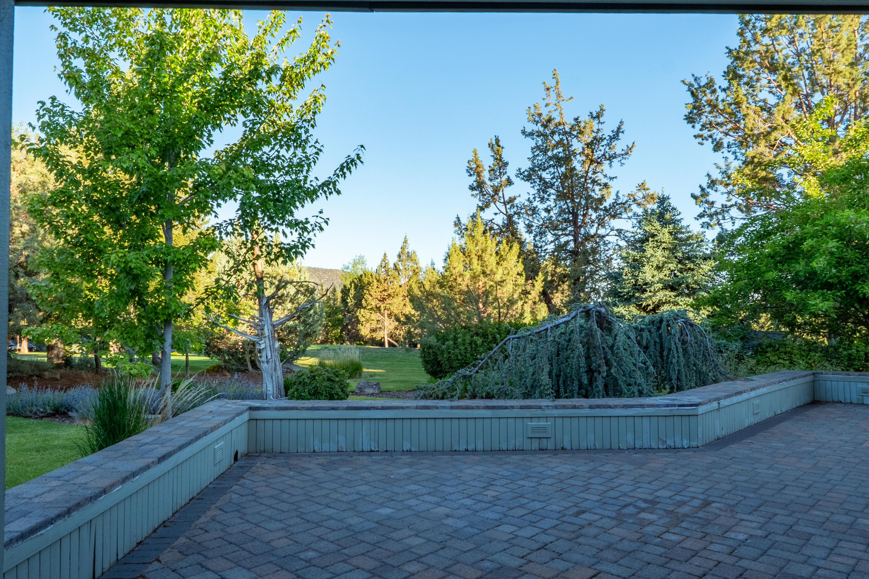 2103 Condor Court
