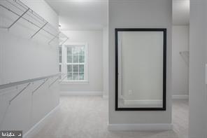 1523 TWIN LEAF LANE
