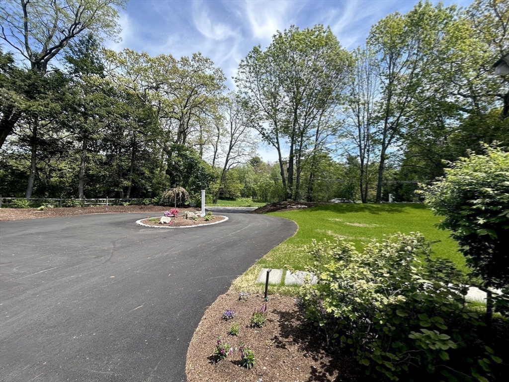 19 Conant Road