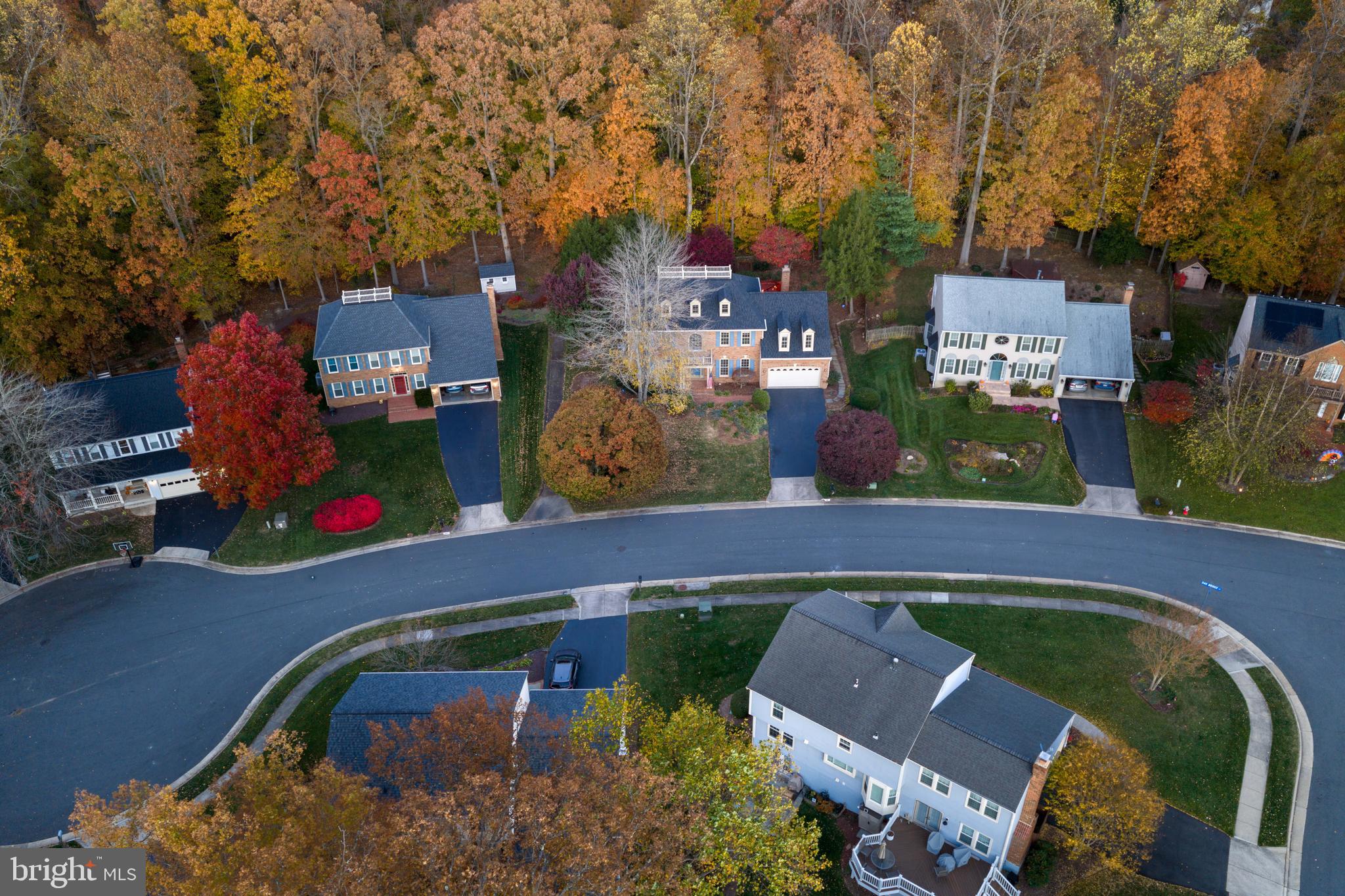 7981 OAK BRIDGE LANE