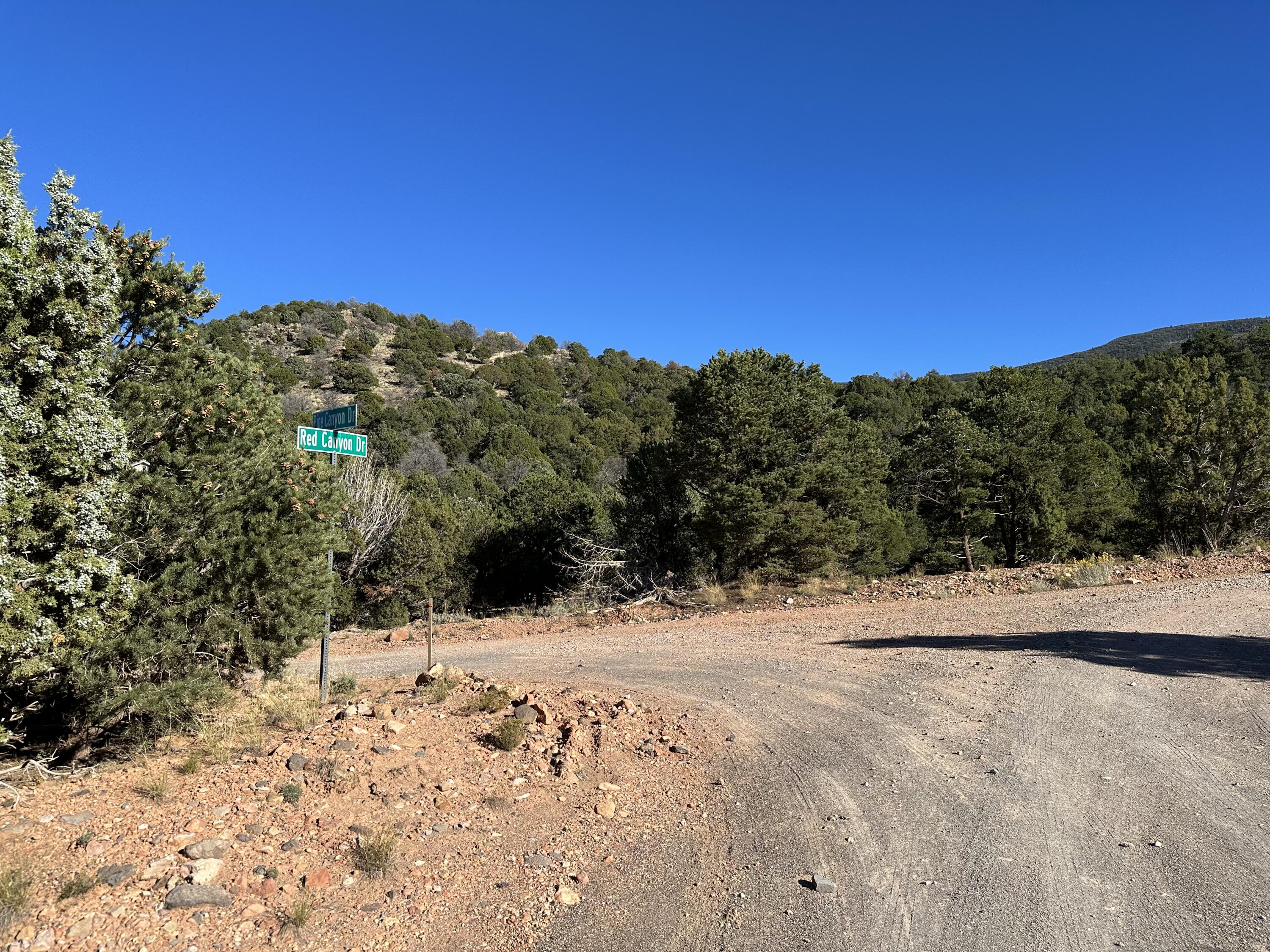 1503 S RED CANYON DR Unit: 28, Parowan UT, 84761